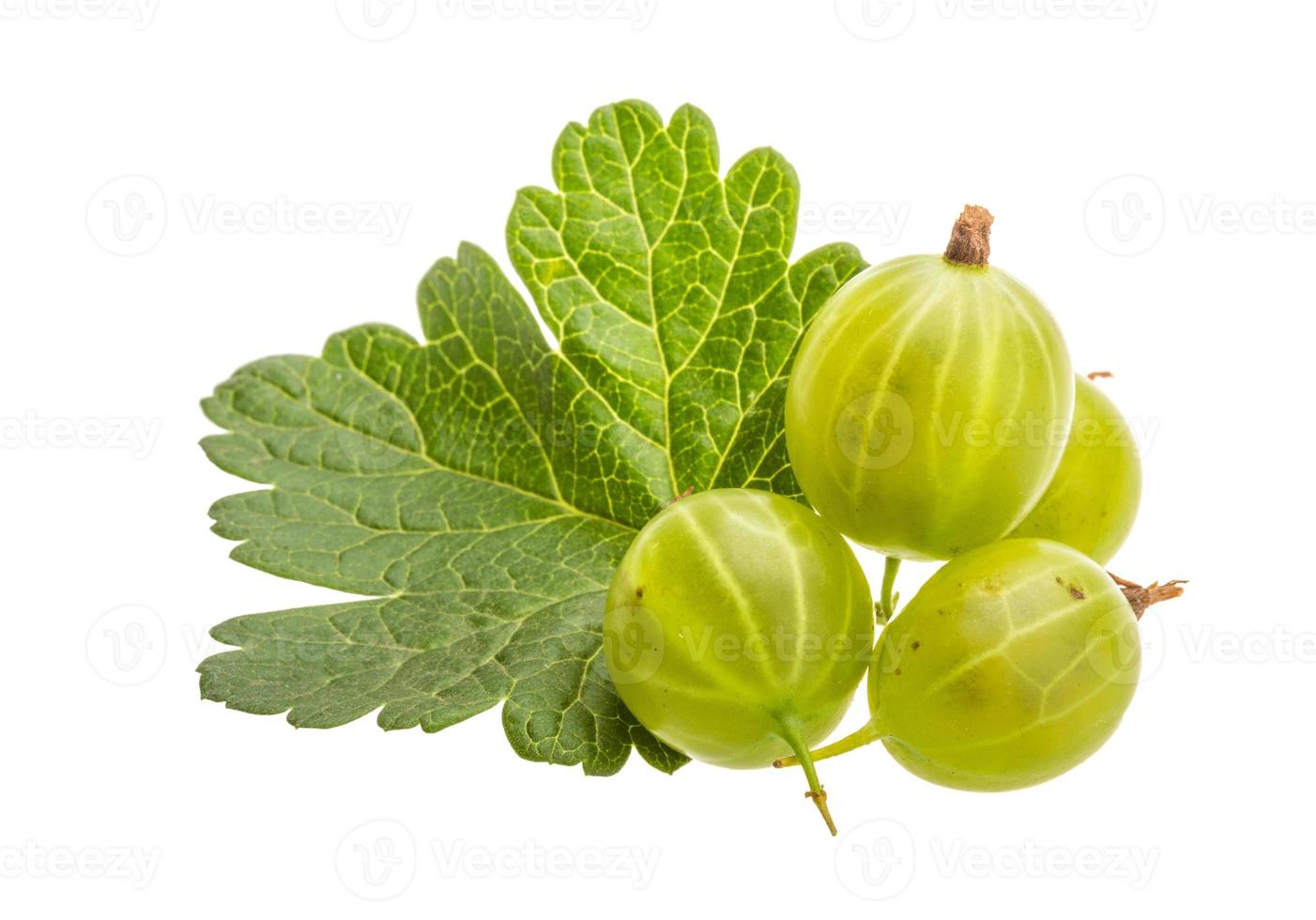 Gooseberries isolated on white background photo