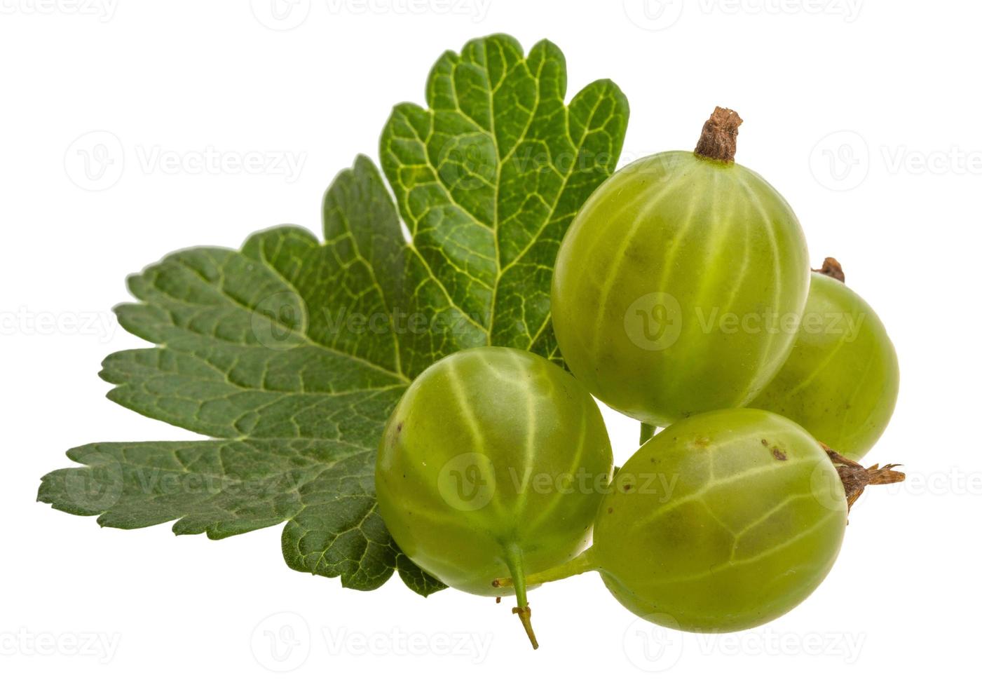 Gooseberries isolated on white background photo