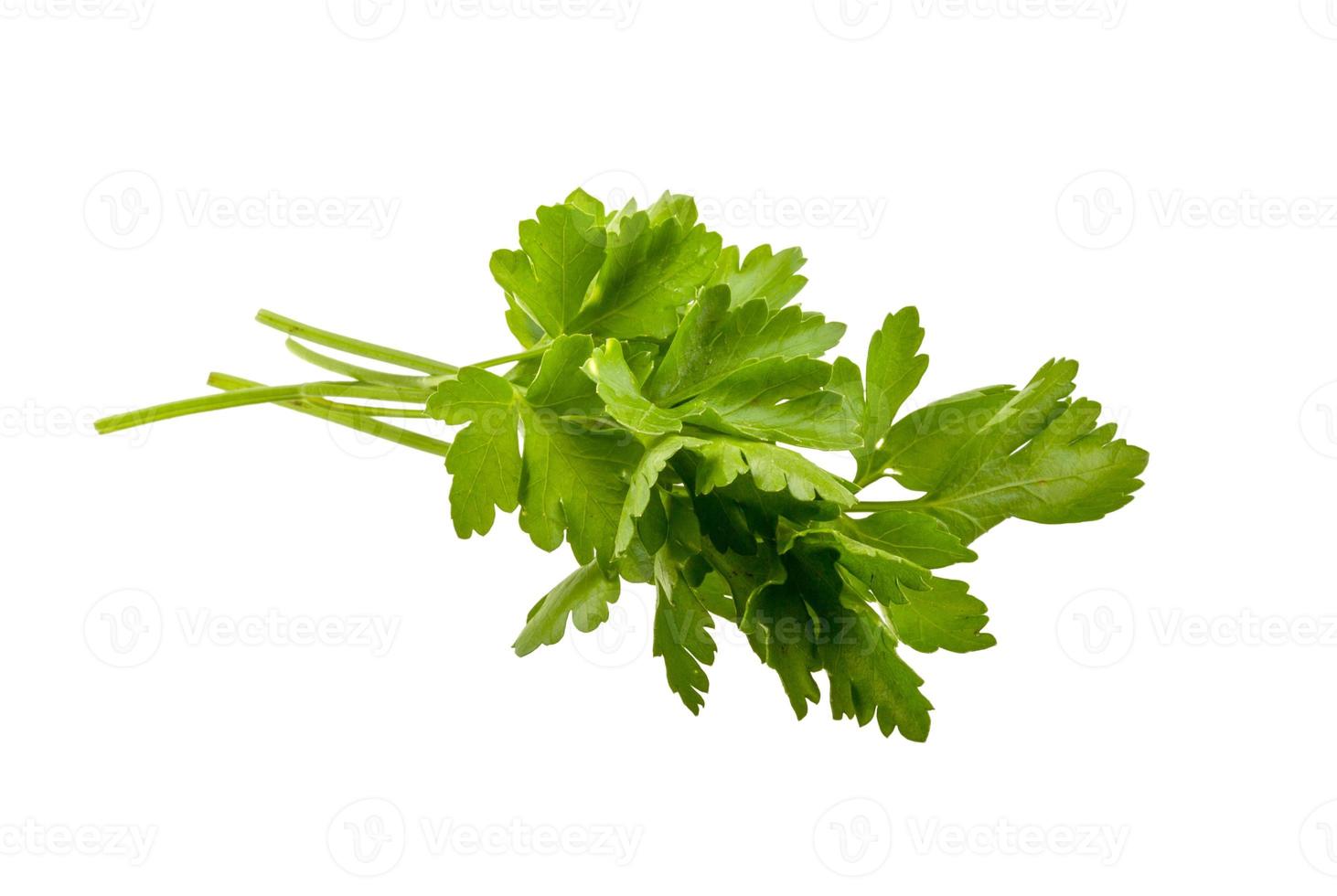 Parsley isolated on white background photo