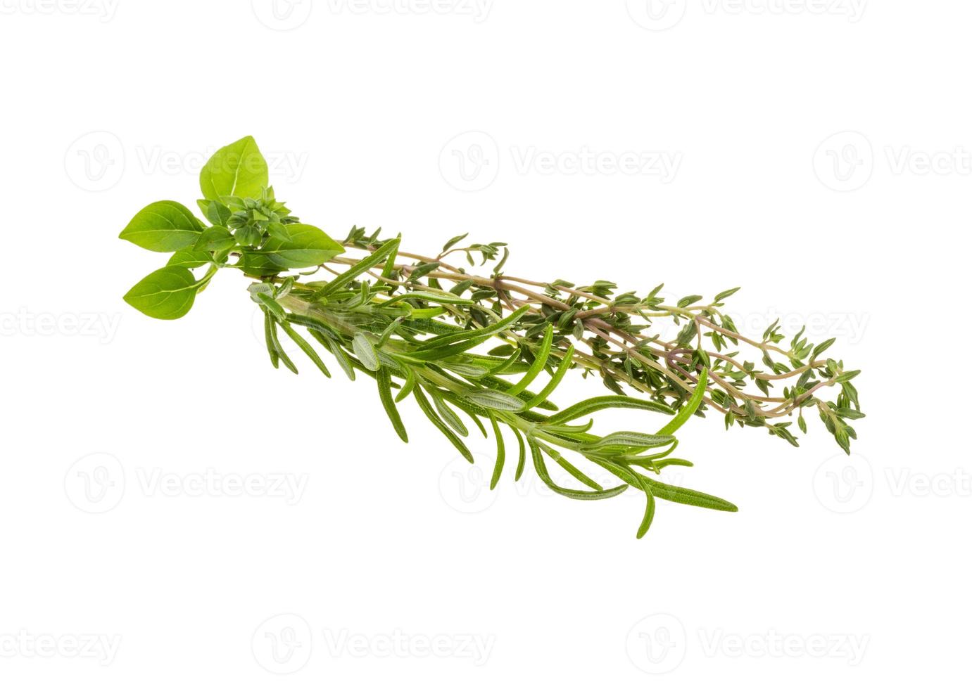 Fresh aroma herbs photo