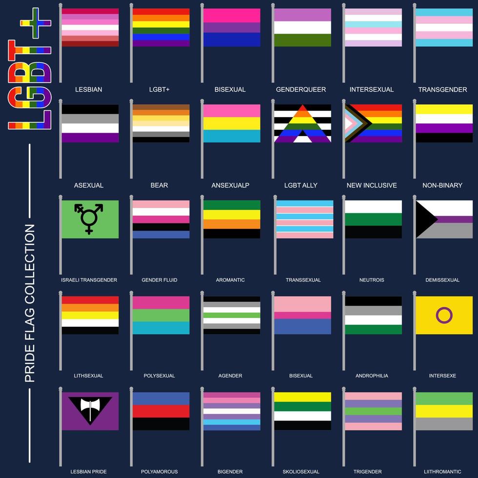 conjunto de banderas de orgullo de identidad de género, símbolos lgbt. banderas sexo gay, transgénero, bisexual, lesbiana y más. ilustración vectorial vector