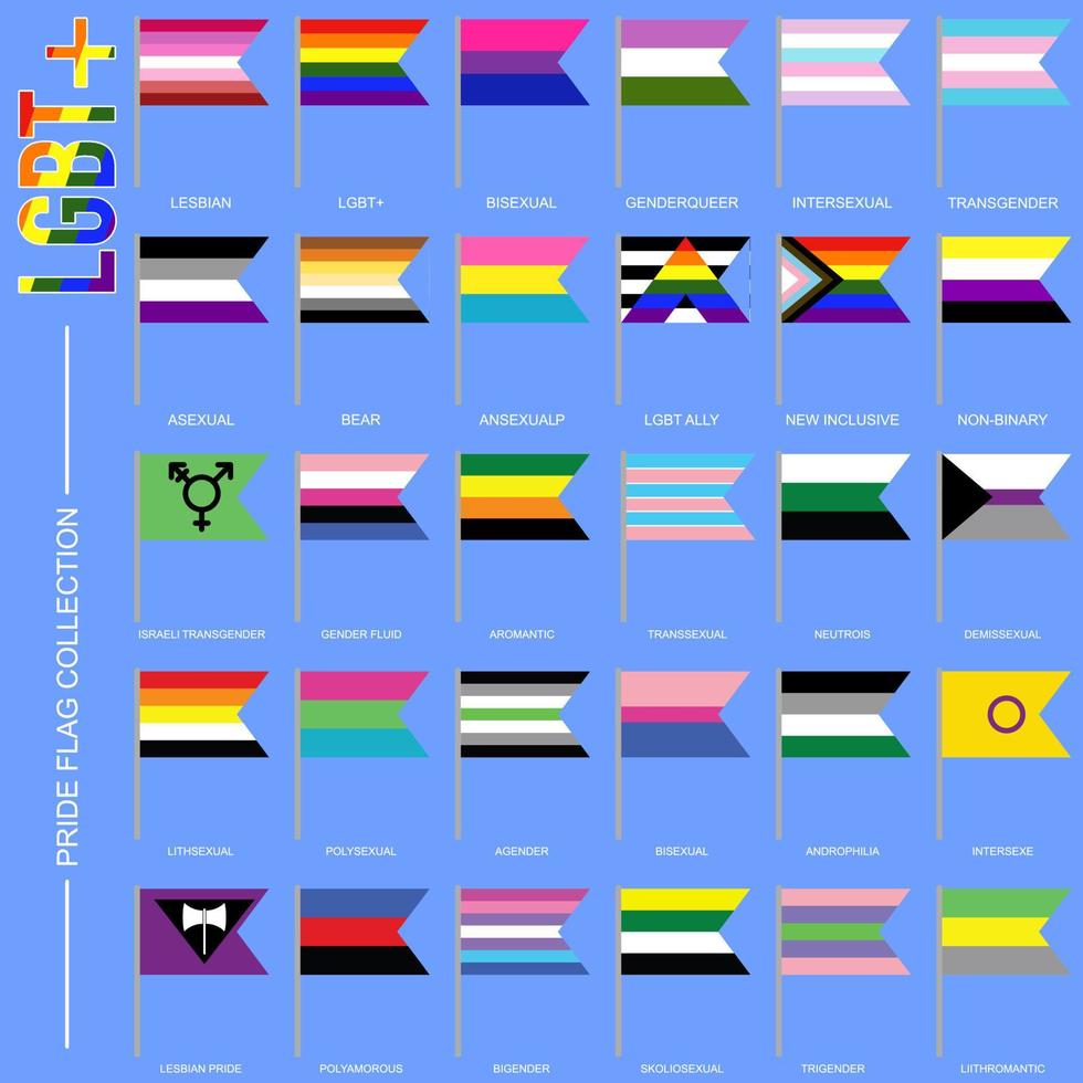 conjunto de banderas de orgullo de identidad de género, símbolos lgbt. banderas sexo gay, transgénero, bisexual, lesbiana y más. ilustración vectorial vector