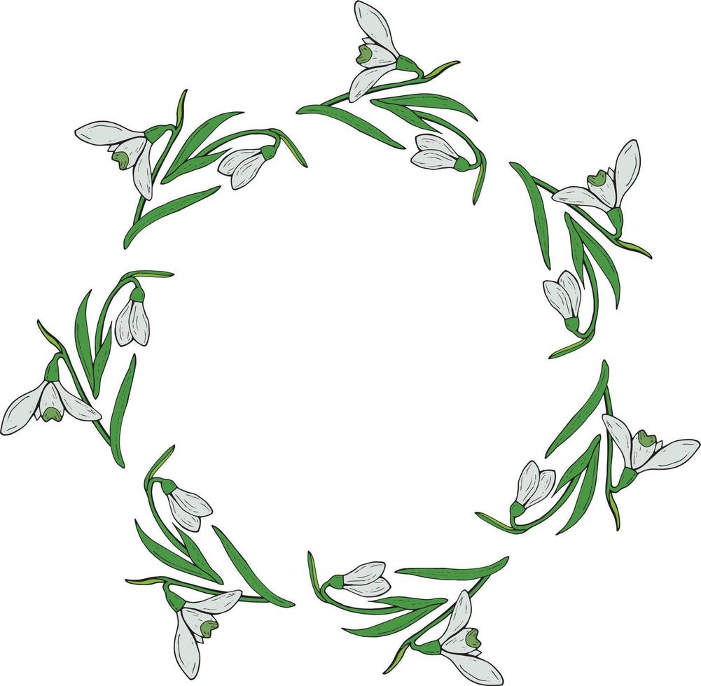 Round frame of beautiful snowdrops. Wreath with isolated flowers on white background for your design. vector