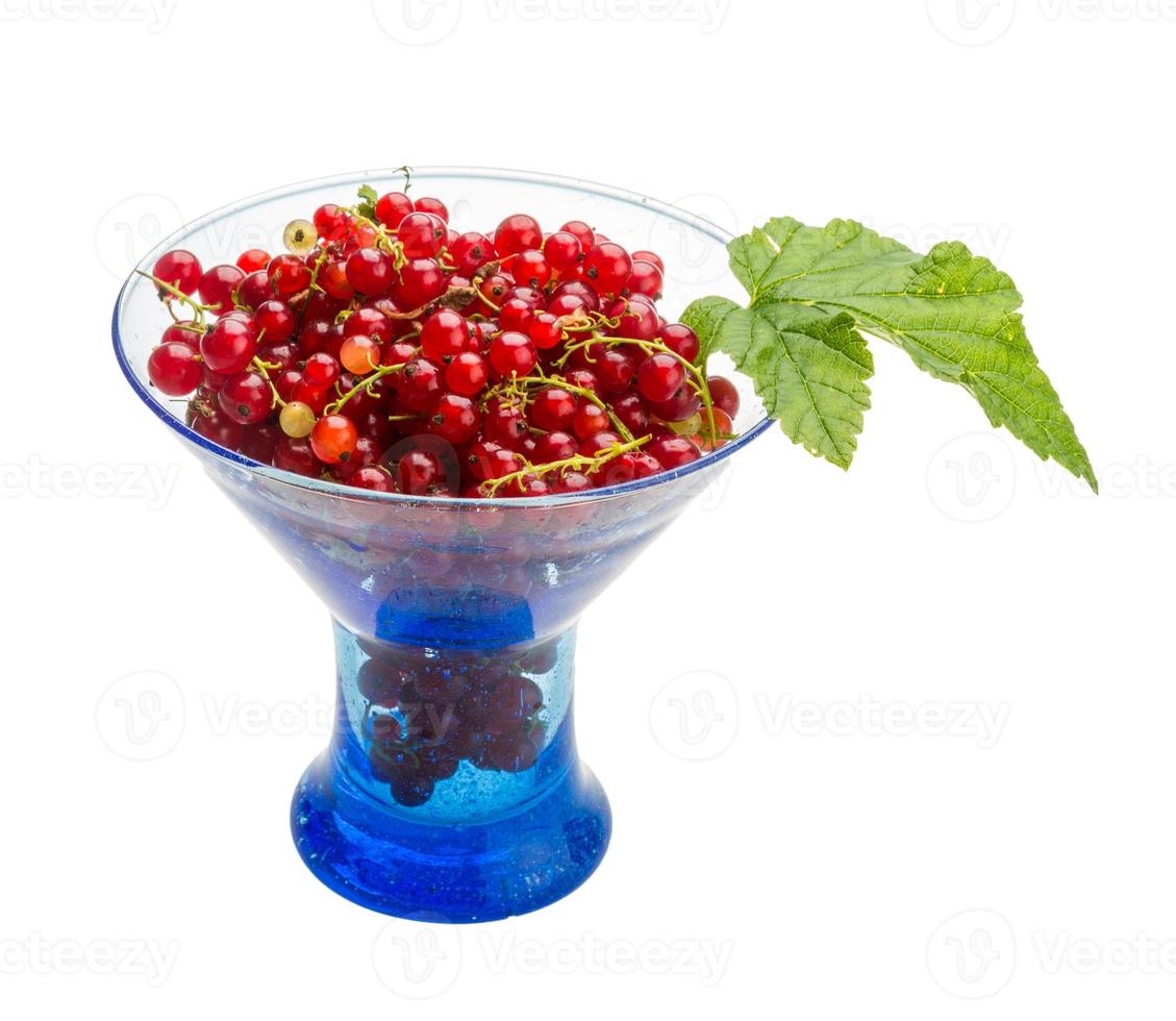 Red currant isolated on white background photo