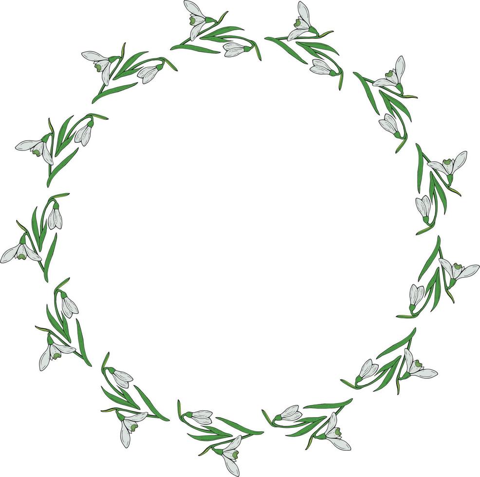 Round frame of drawing snowdrops. Wreath with isolated flowers on white background for your design. vector