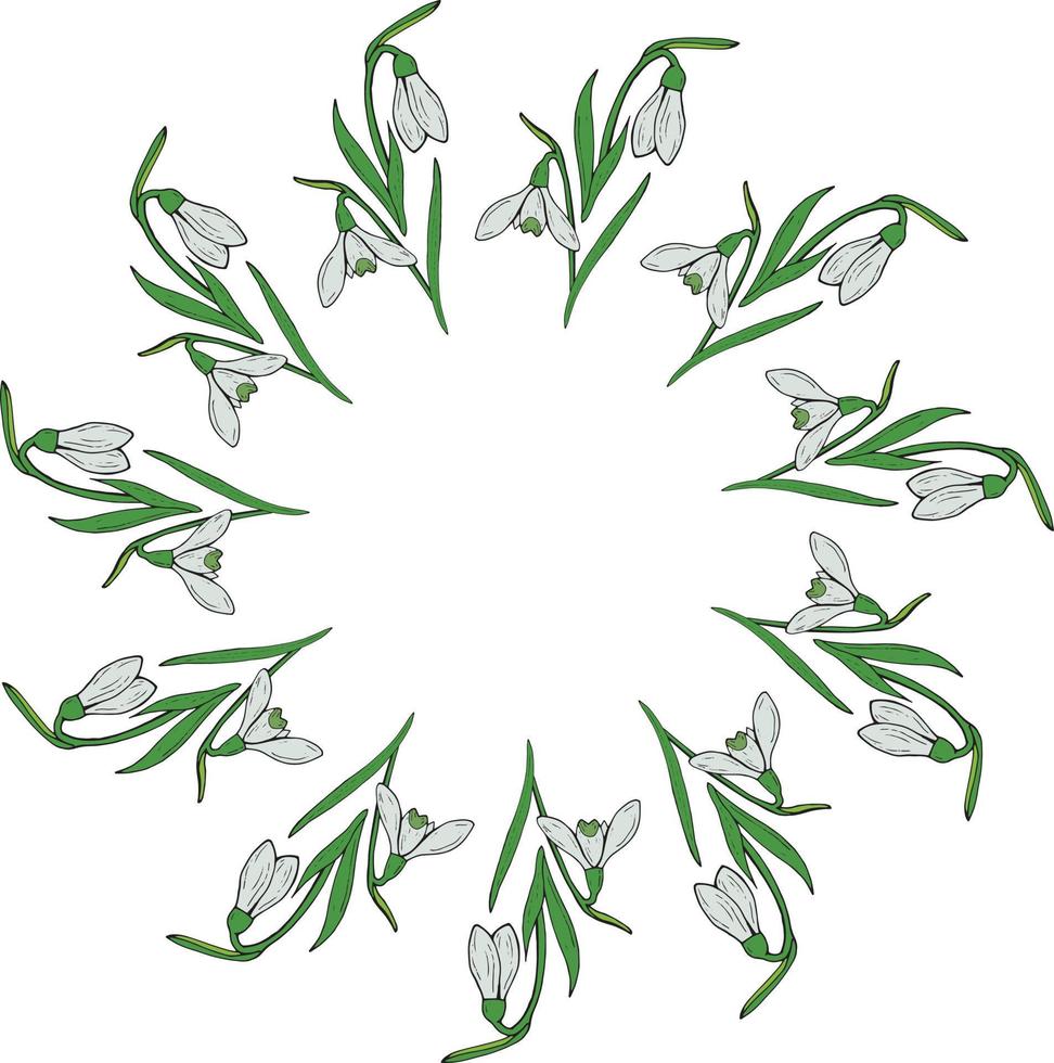 Round frame of snowdrops. Wreath with isolated flowers  on white background for your design. vector