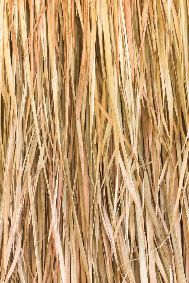 Texture of straw photo