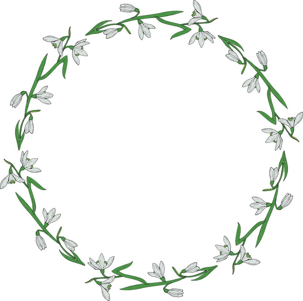 Round frame of beautiful colorful snowdrops. Wreath with isolated spring flowers on white background for your design. vector