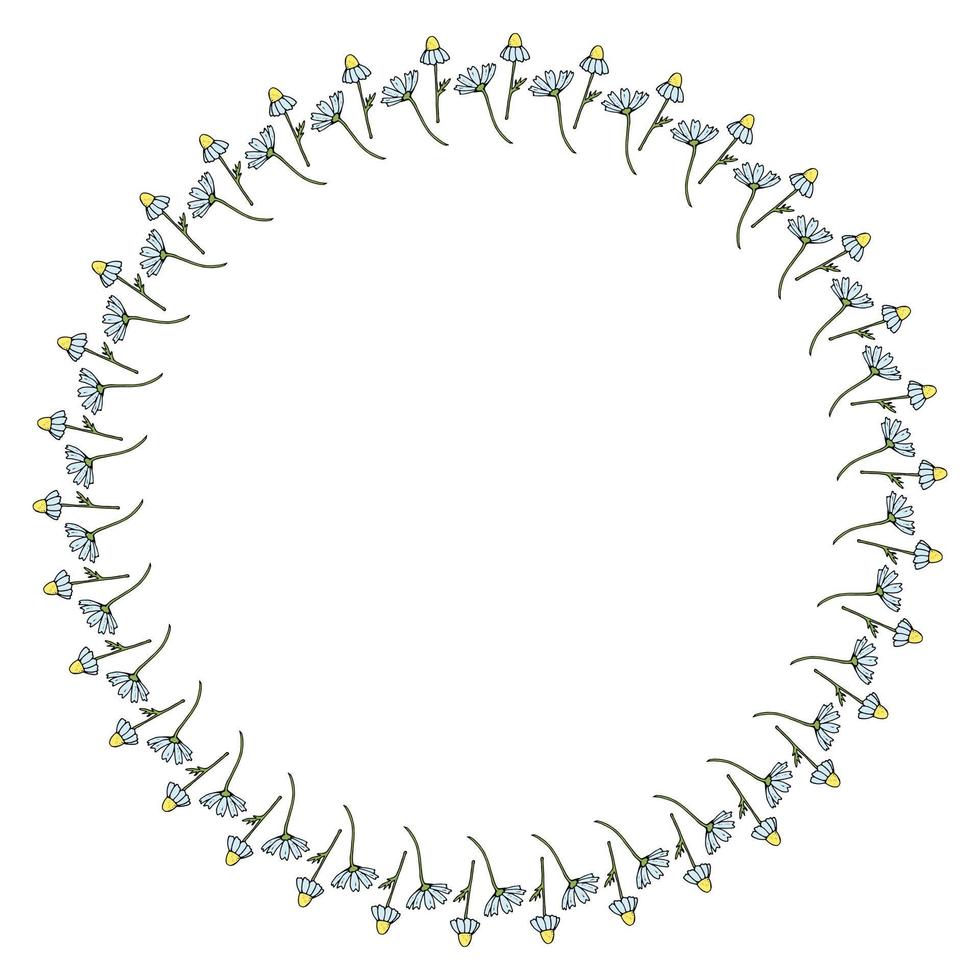 Round frame with beautiful vertical chamomile on white background. Isolated floral frame for your design. Vector image.