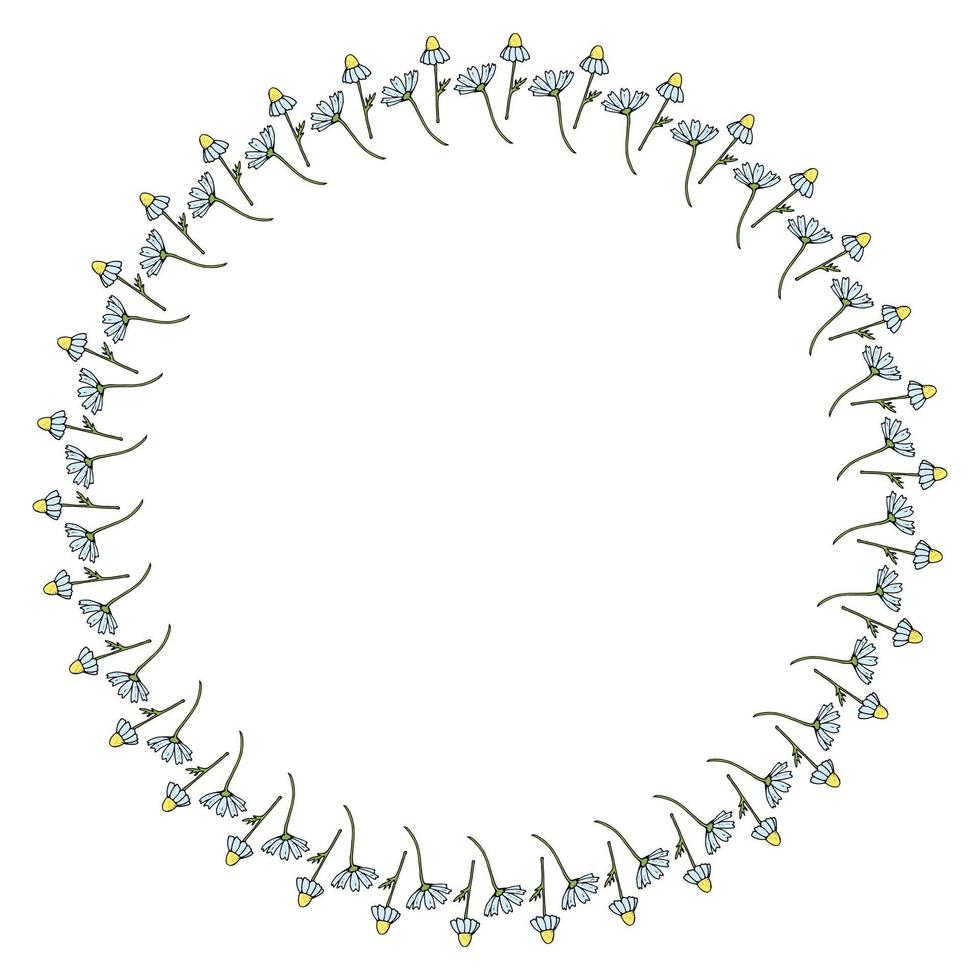 Round frame with beautiful vertical chamomile on white background. Isolated floral frame for your design. Vector image.
