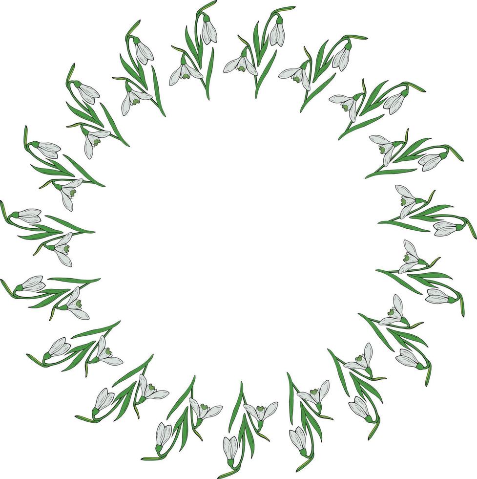 Round frame of colored snowdrops. Wreath with isolated flowers  on white background for your design. vector