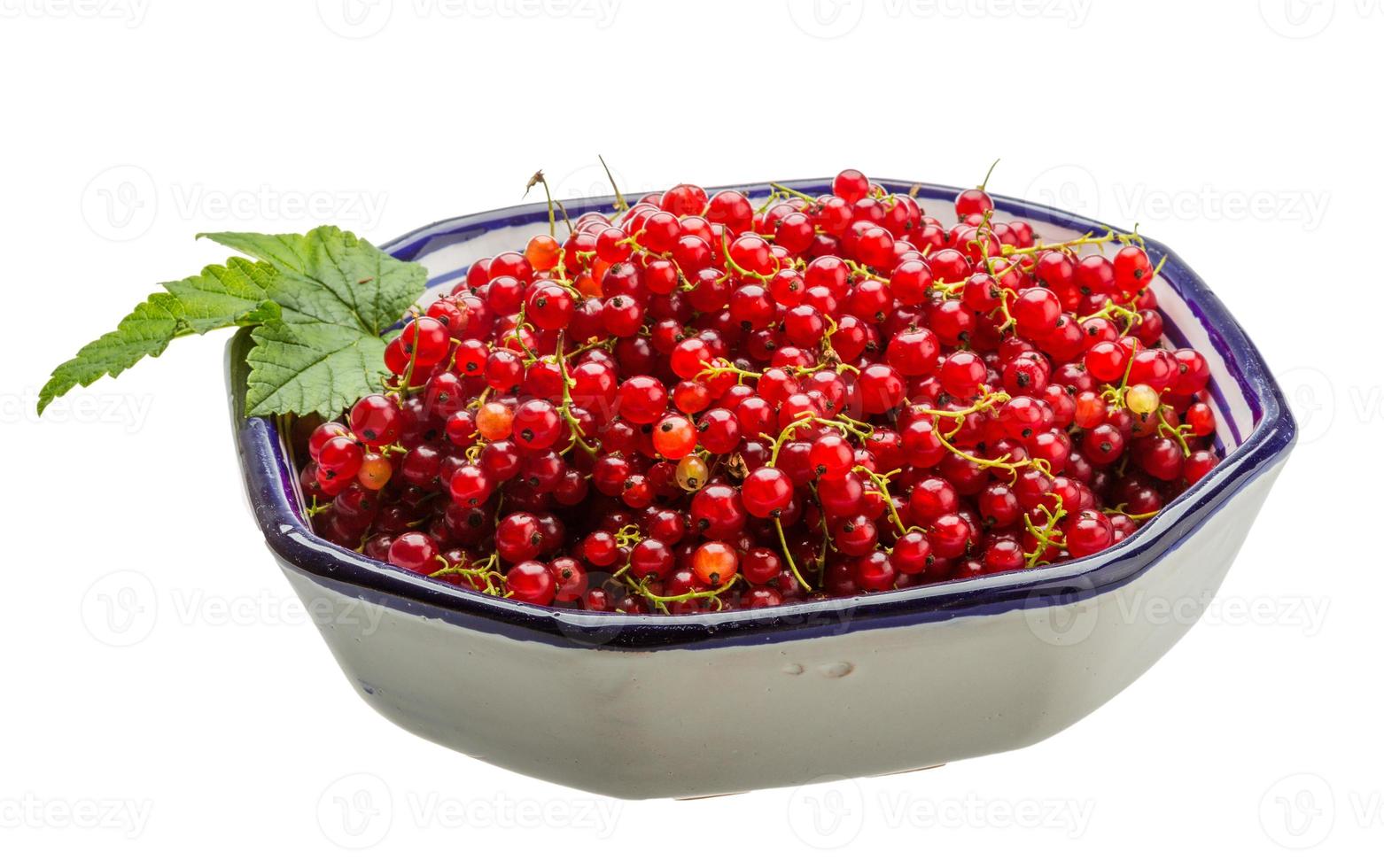 Red currant isolated on white background photo