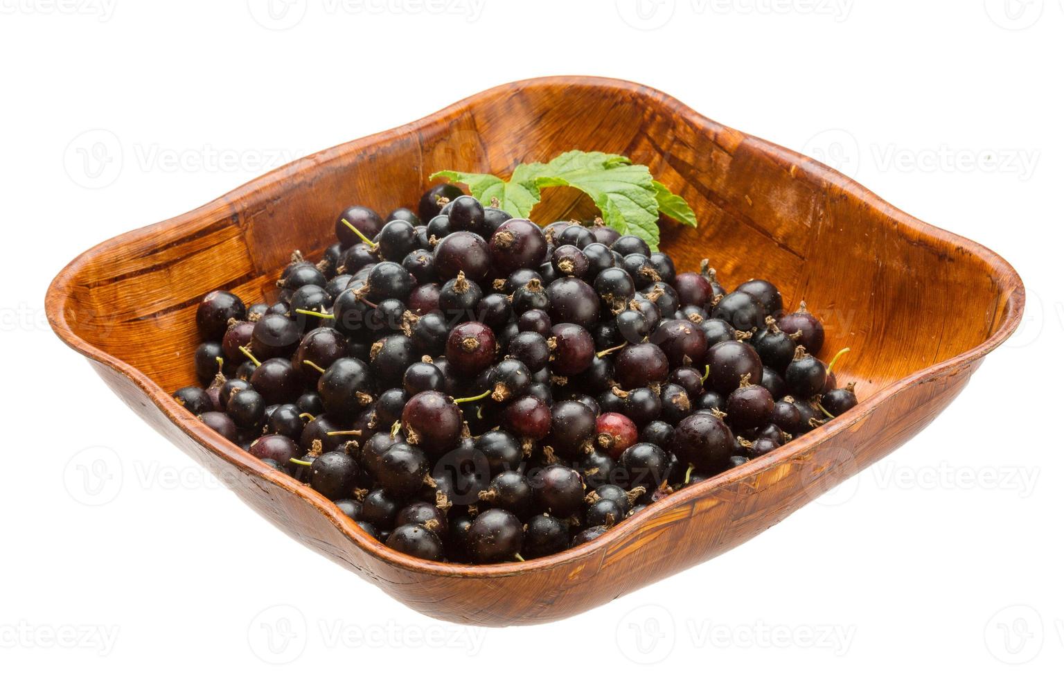 Black currant isolated on white background photo