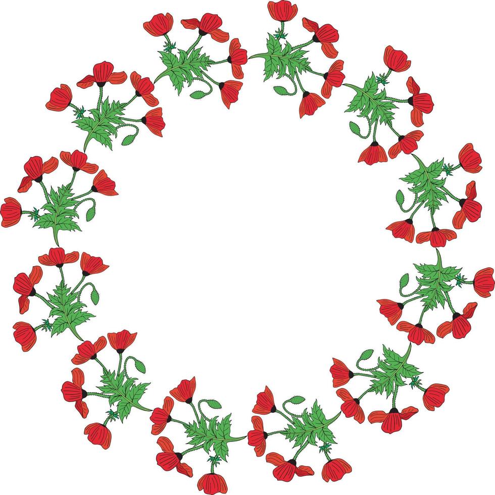Round frame with colored horizontal poppies, poppy Bud and leaf. Isolated wreath of red flowers on white background for your design vector