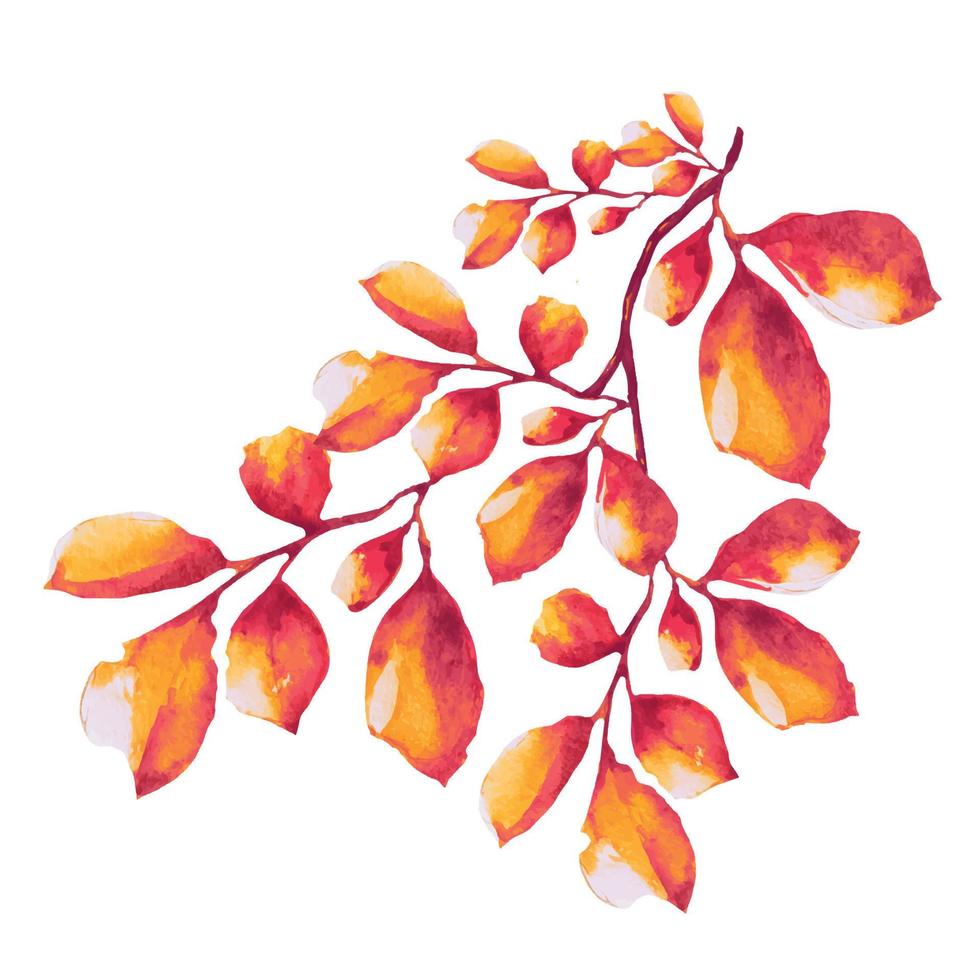 dried leaves on a tree branch, autumn illustration vector