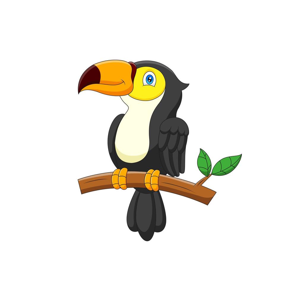 Cartoon toucan standing on a branch vector