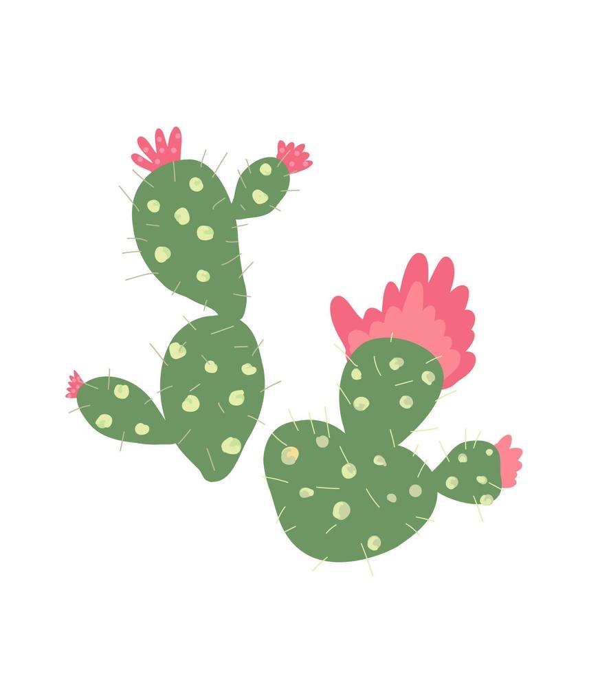 Blooming cactus illustration. Hand drawn green tropical cactus with pink flower vector