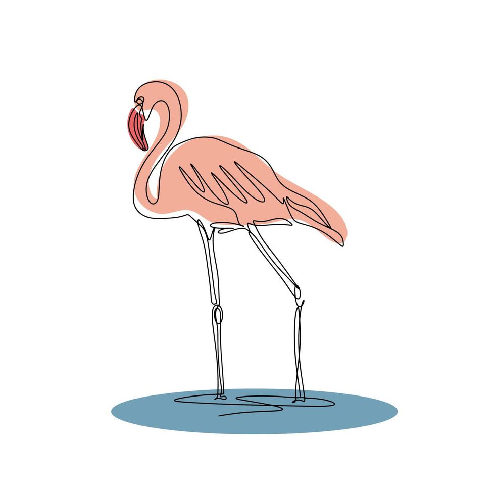 Flamingo line art isolated vector