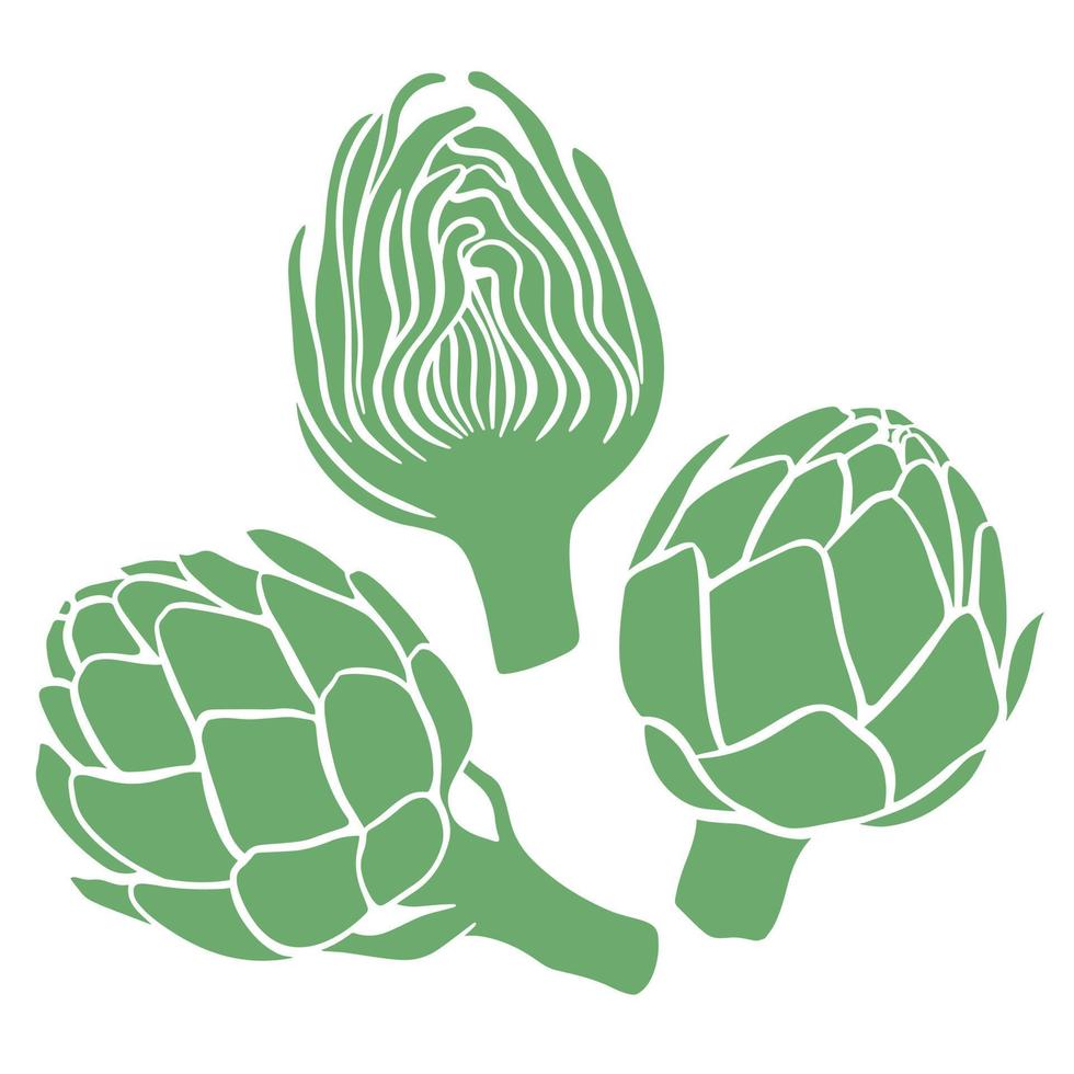 Artichoke hand drawn vector set