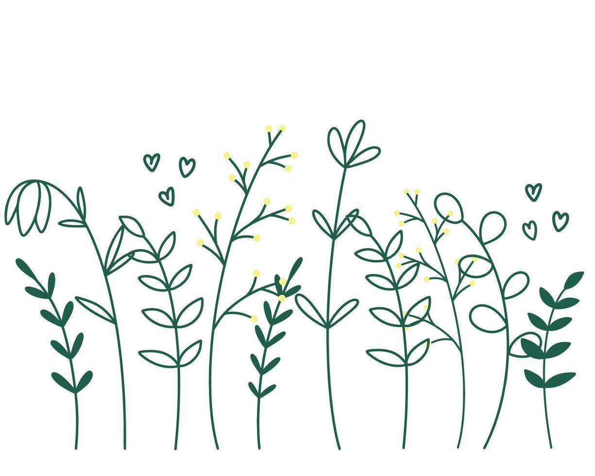 Summer herbs, weeds and flowers line silhouette vector