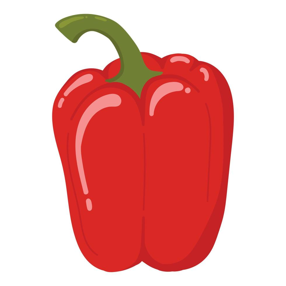 Big red pepper. Vector image of an pepper. Hot pepper.