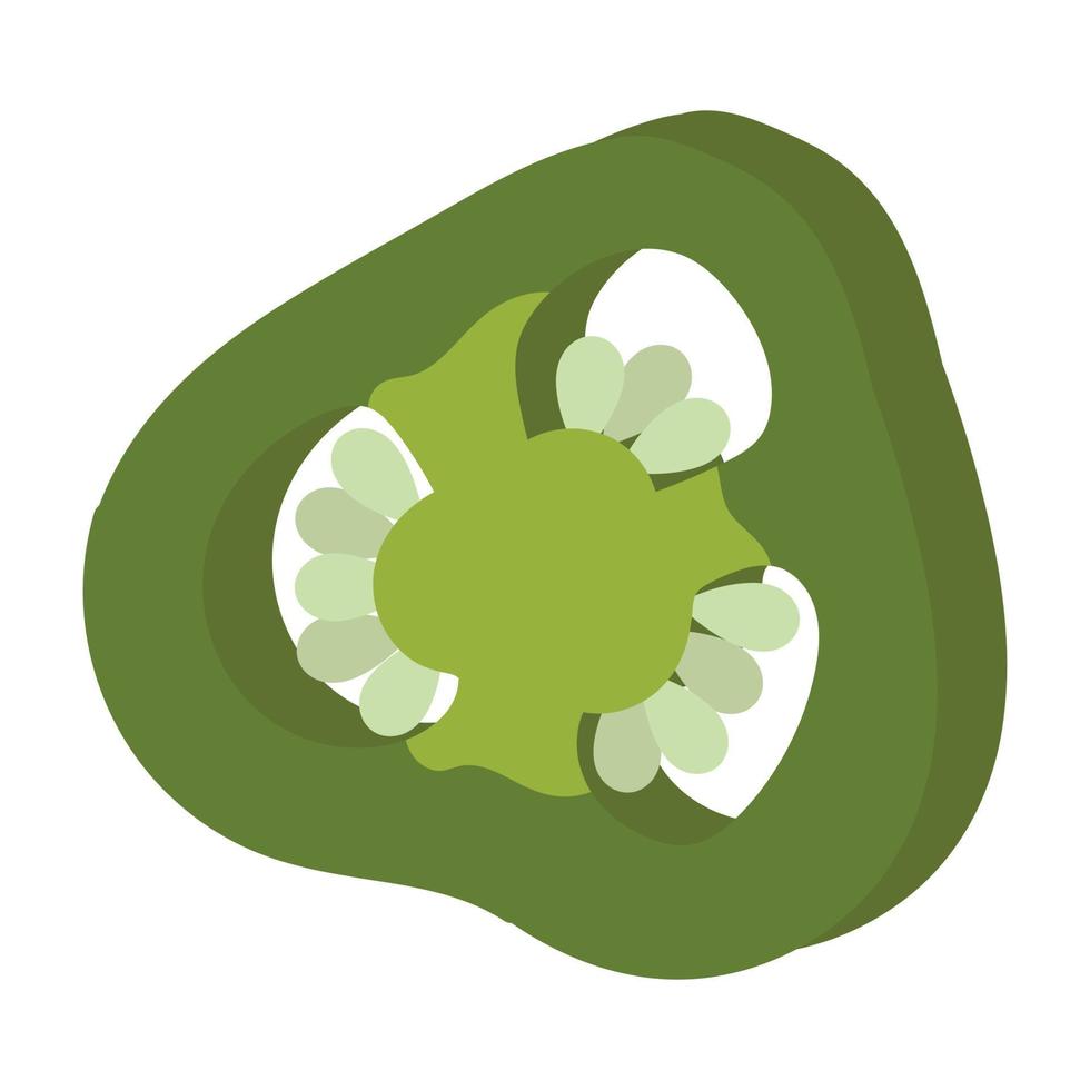 Jalapeno slices. Vector image of an pepper. Hot pepper.