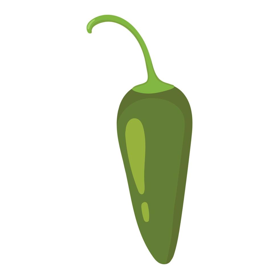 Jalapeno peppers. Vector image of an pepper. Hot pepper.