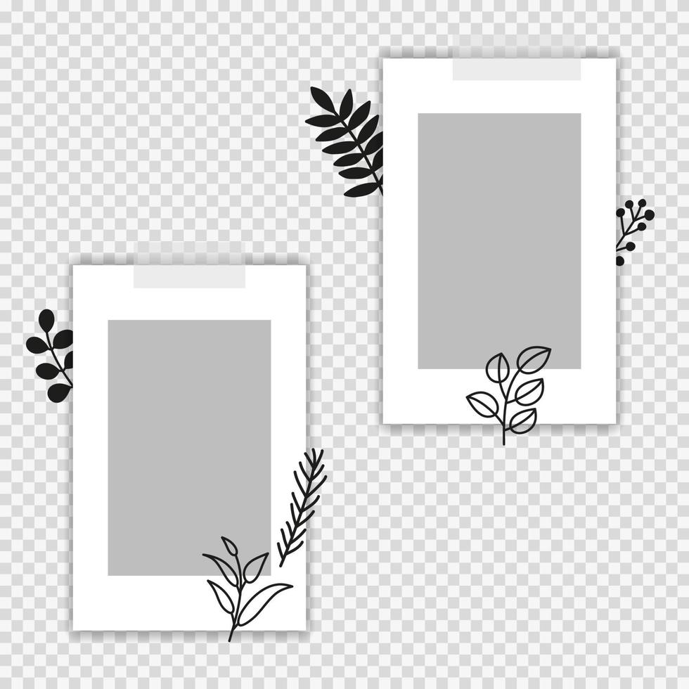 Card templates with empty space and doodle leafy twigs, plants and herbs isolated on transparent background. vector