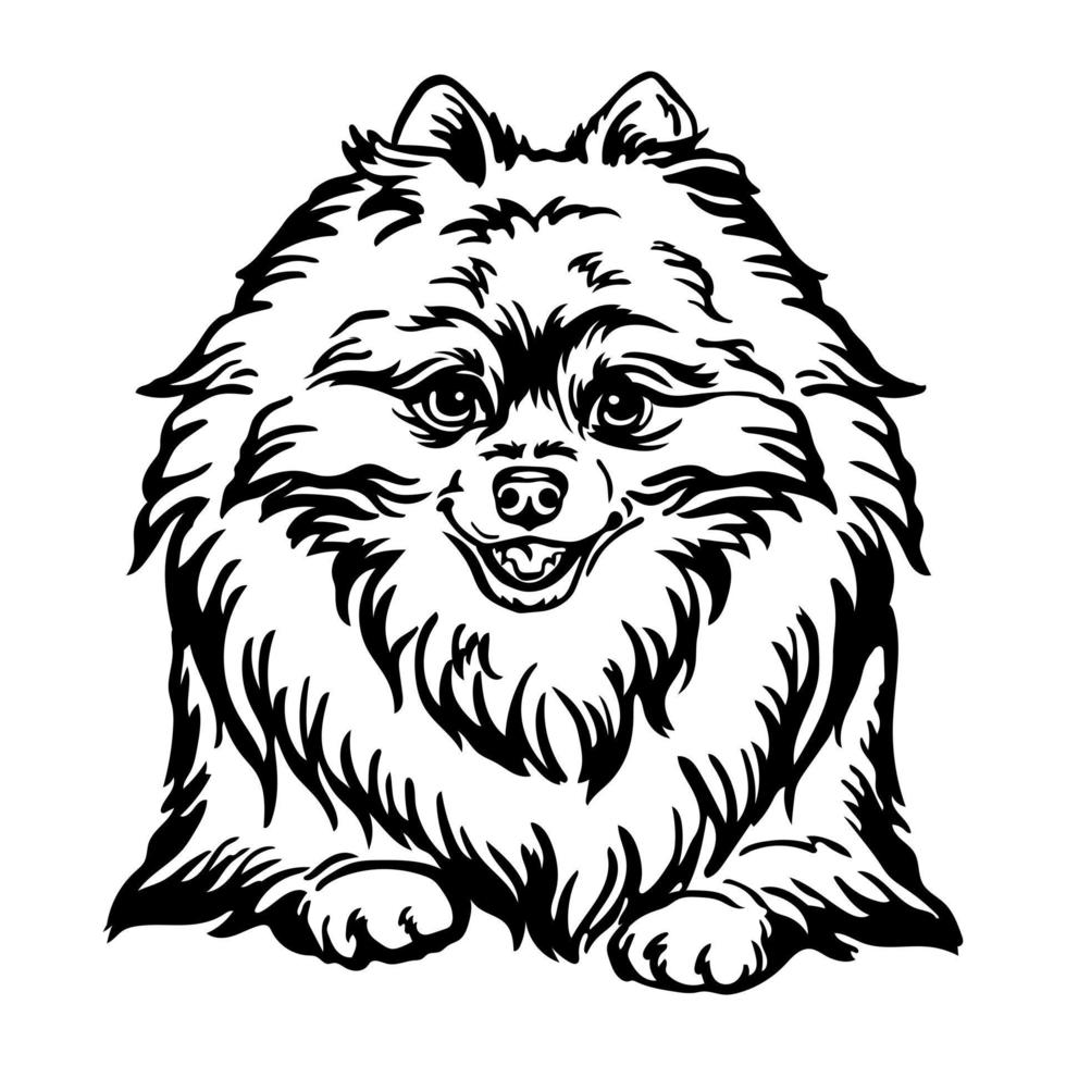 retrato de contorno negro de cabeza de vector de perro pomeranian