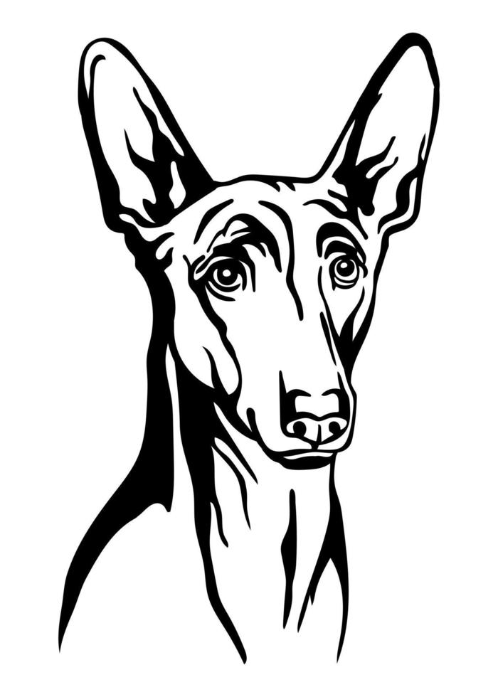 Pharaon dog head vector black contour portrait