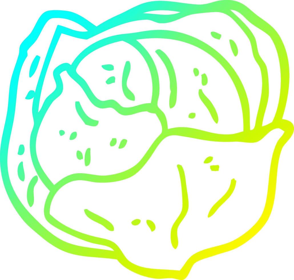 cold gradient line drawing cartoon cabbage vector