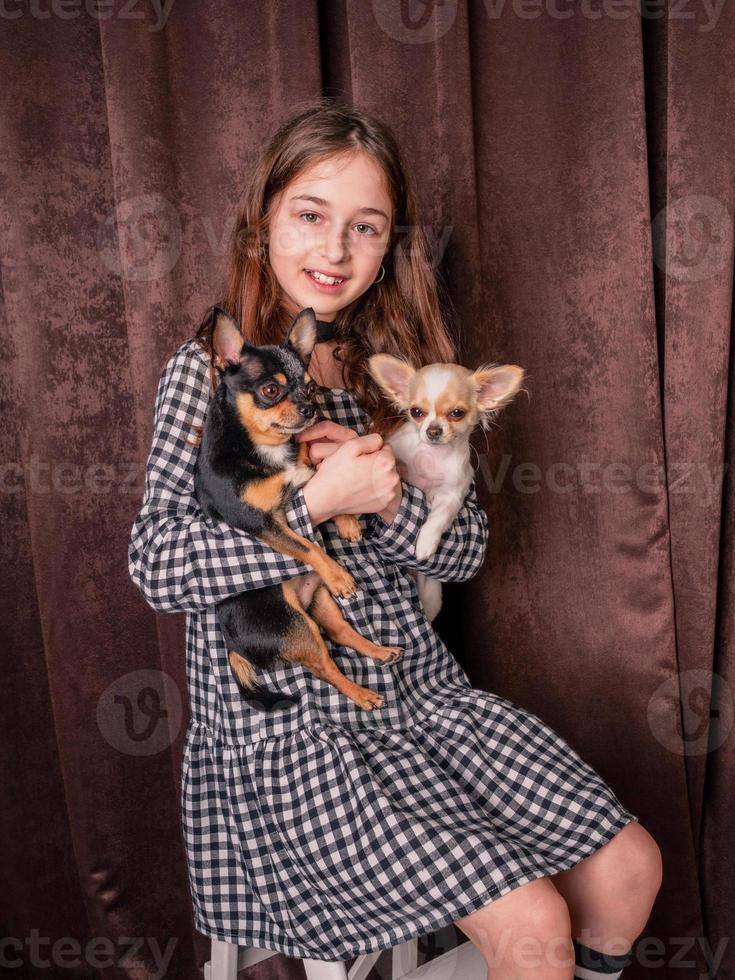 una adolescente con dos perros mini chihuahua en blanco y negro en sus brazos. niña y animales. foto