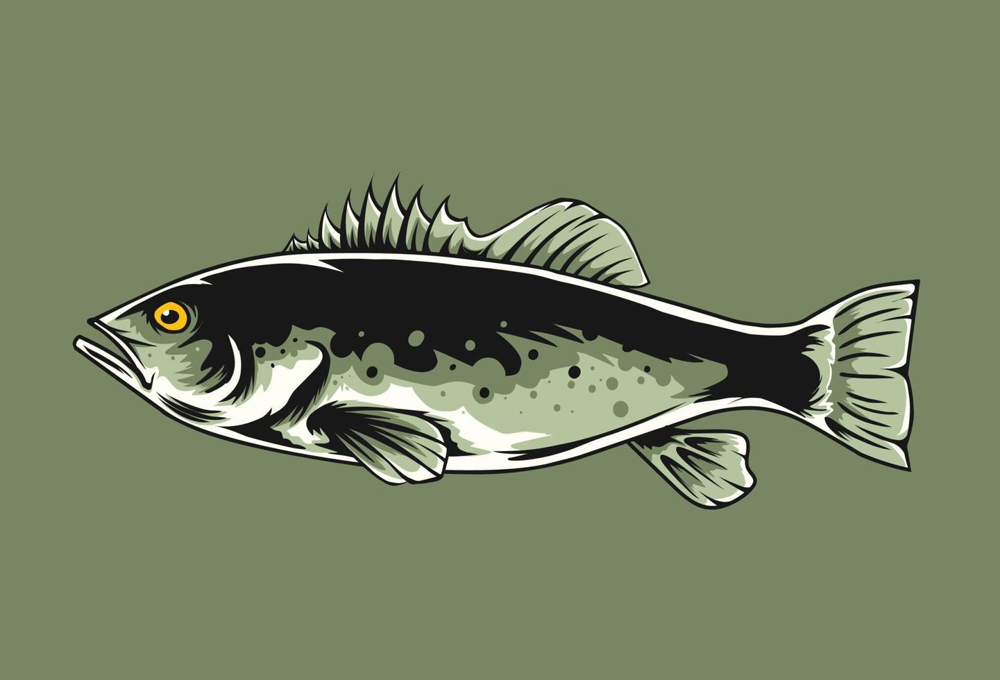 walleye fish illustration vector