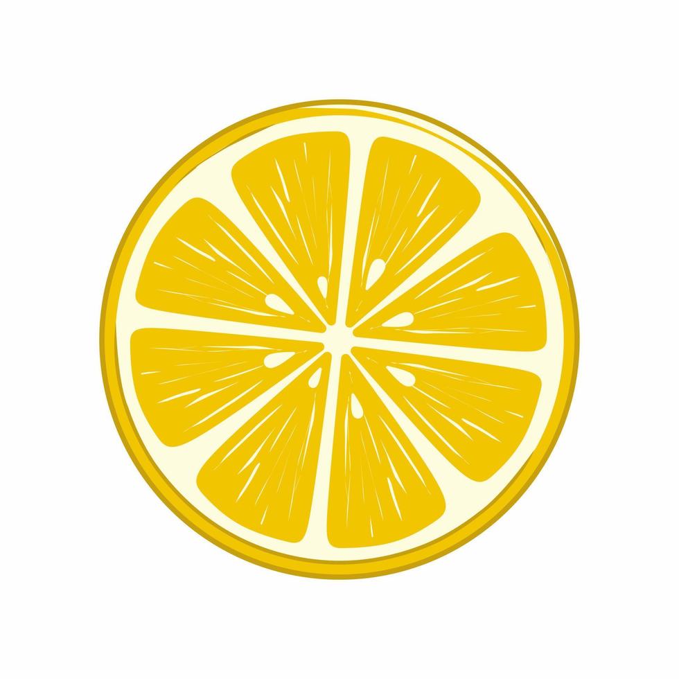 lemon slice illustration vector