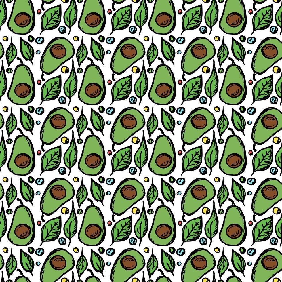 Seamless avocado pattern. Colored avocado background. Doodle vector illustration with fruits