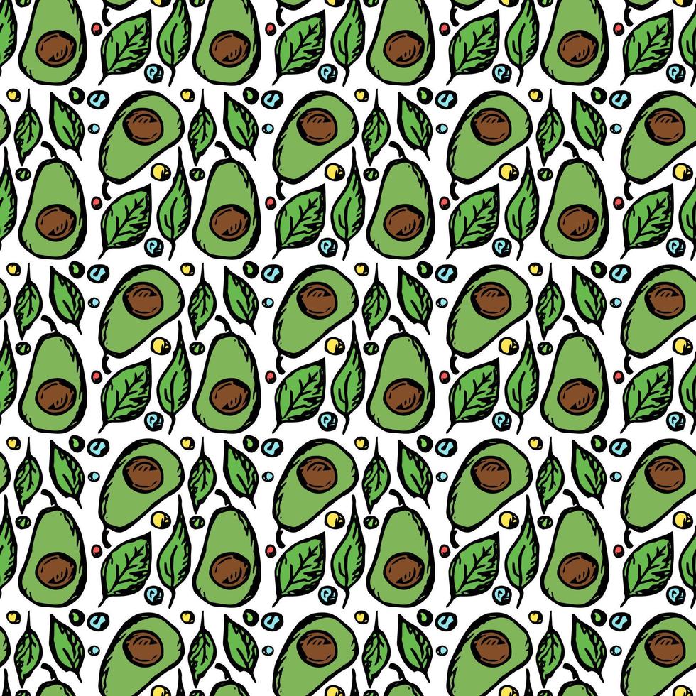 Seamless avocado pattern. Colored avocado background. Doodle vector illustration with fruits