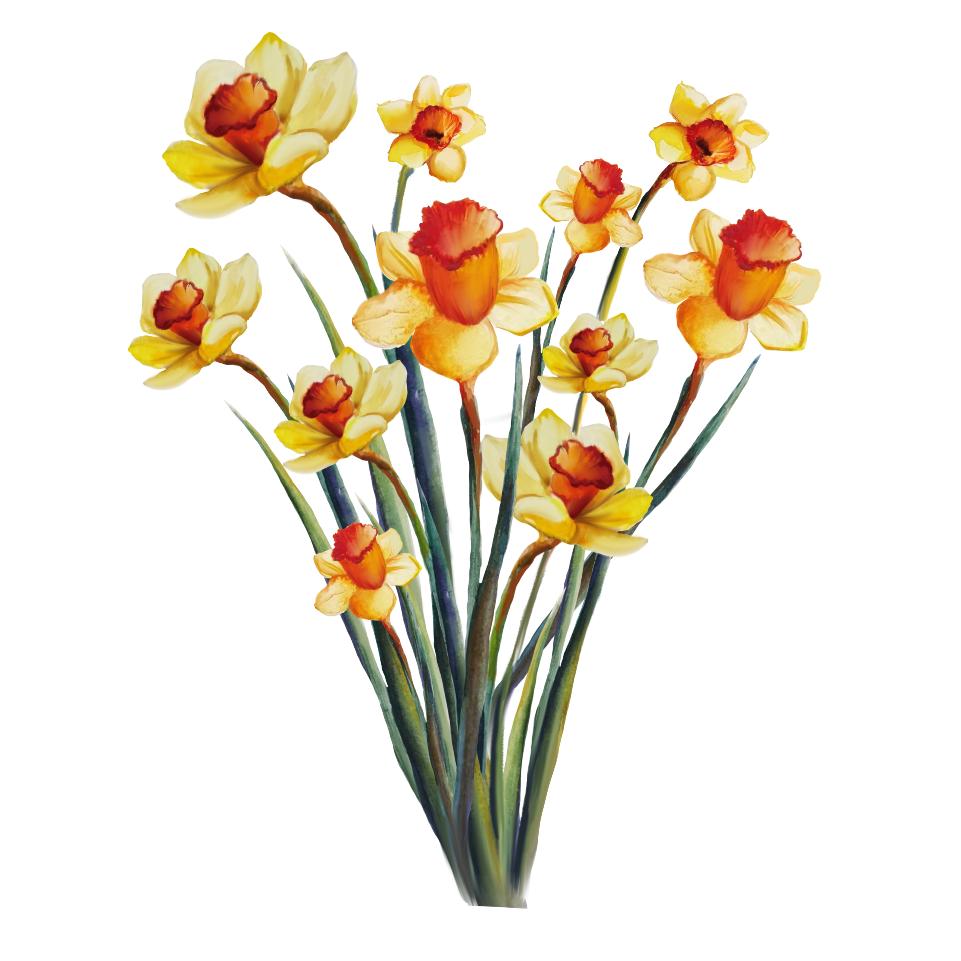 blumenstrauß gelbe narzisse aquarellillustration 8877990 PNG