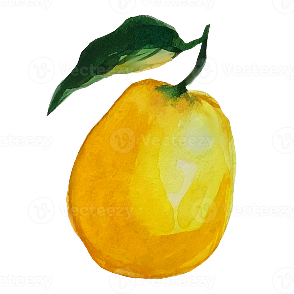 illustrazione ad acquerello di limone png