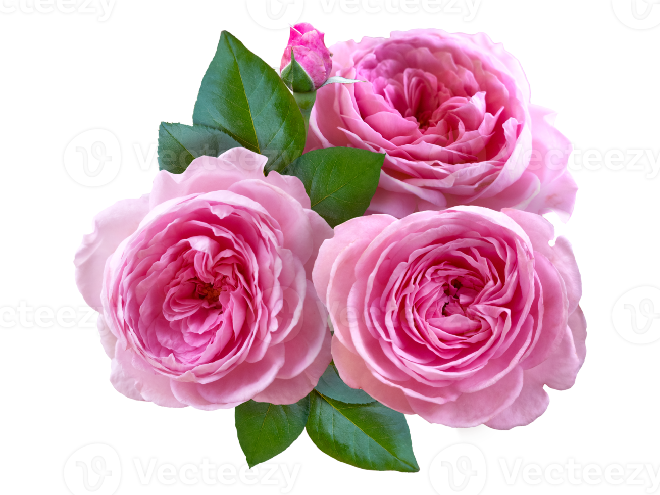 Flower arrangement made with roses png