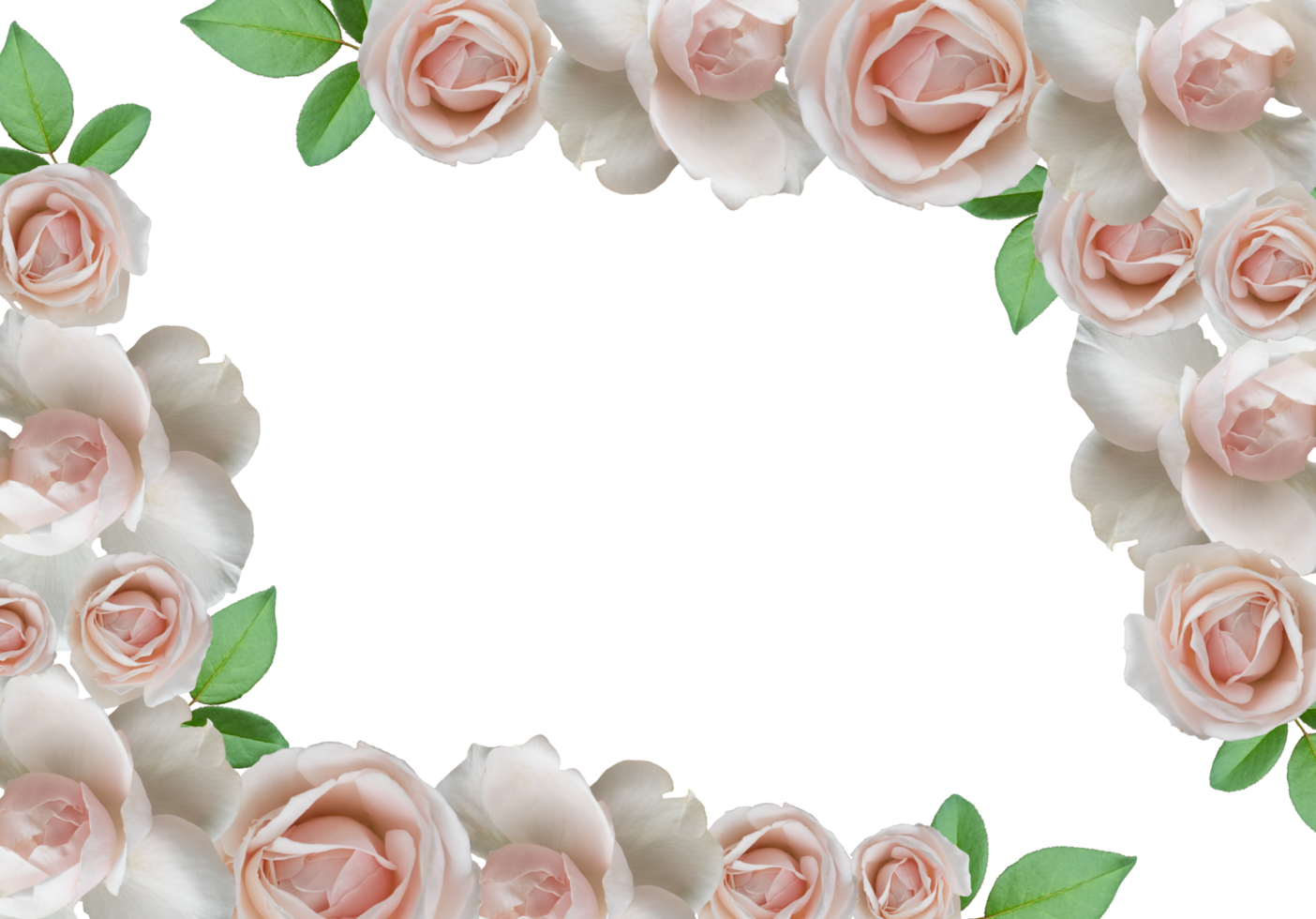 White Roses Arrangement. Flower roses frame. png