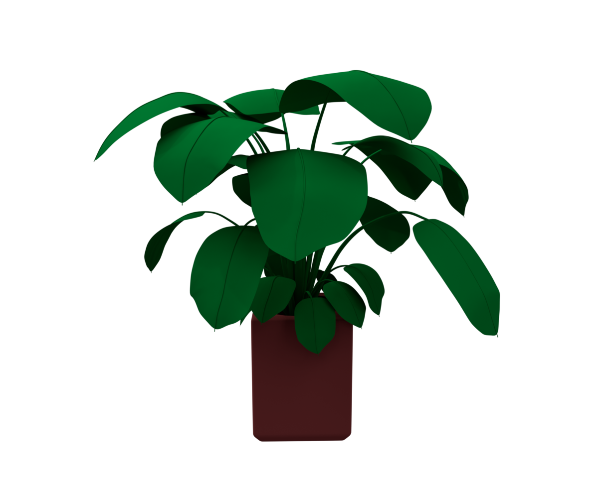 Flower plant 3d render Abstract design element Minimalist concept png