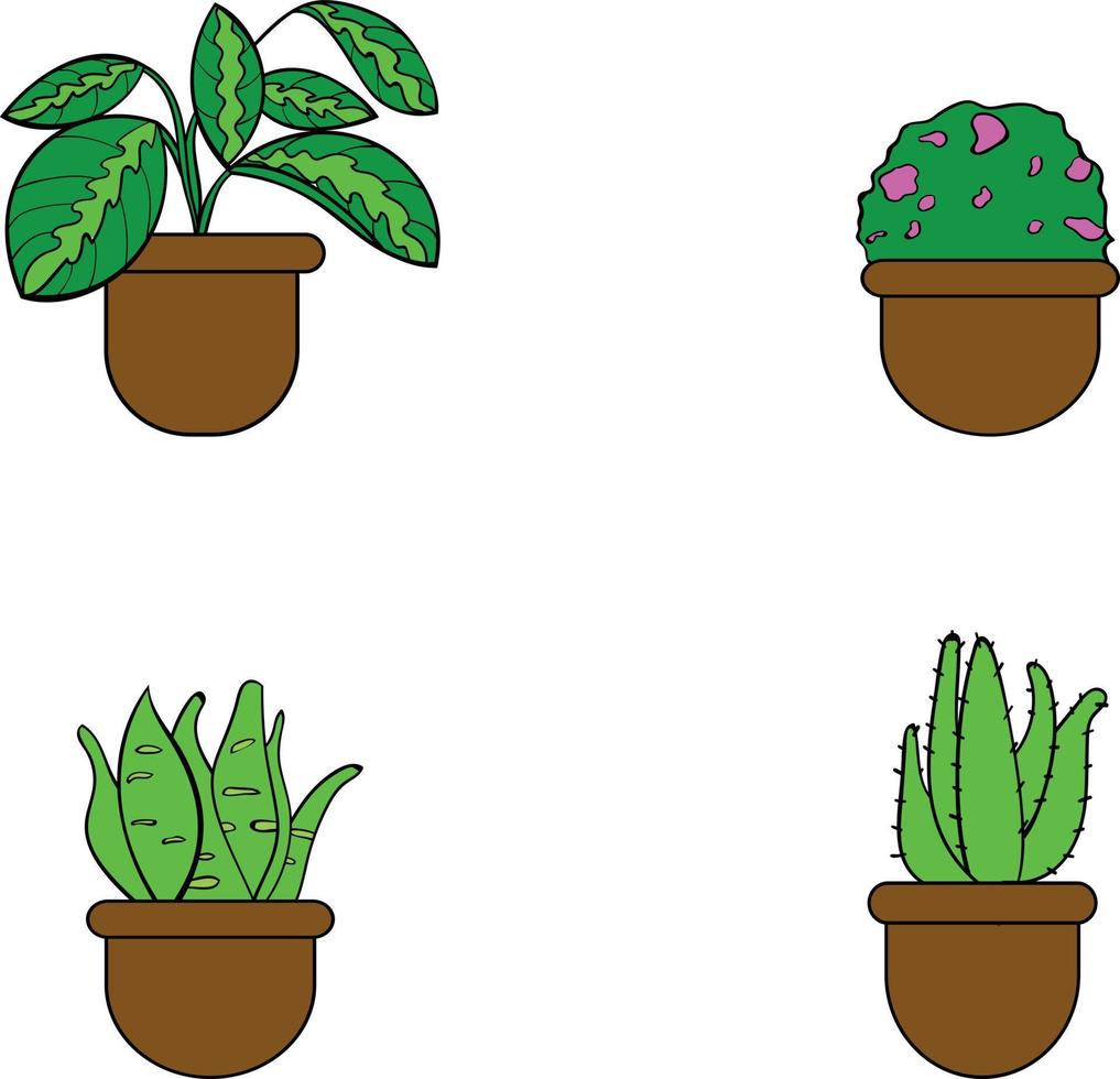 isolated design of plant in a pot vector icon