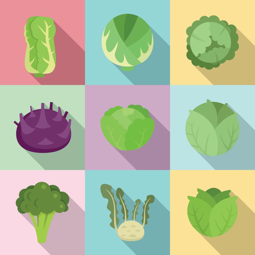 Cabbage icons set, flat style vector