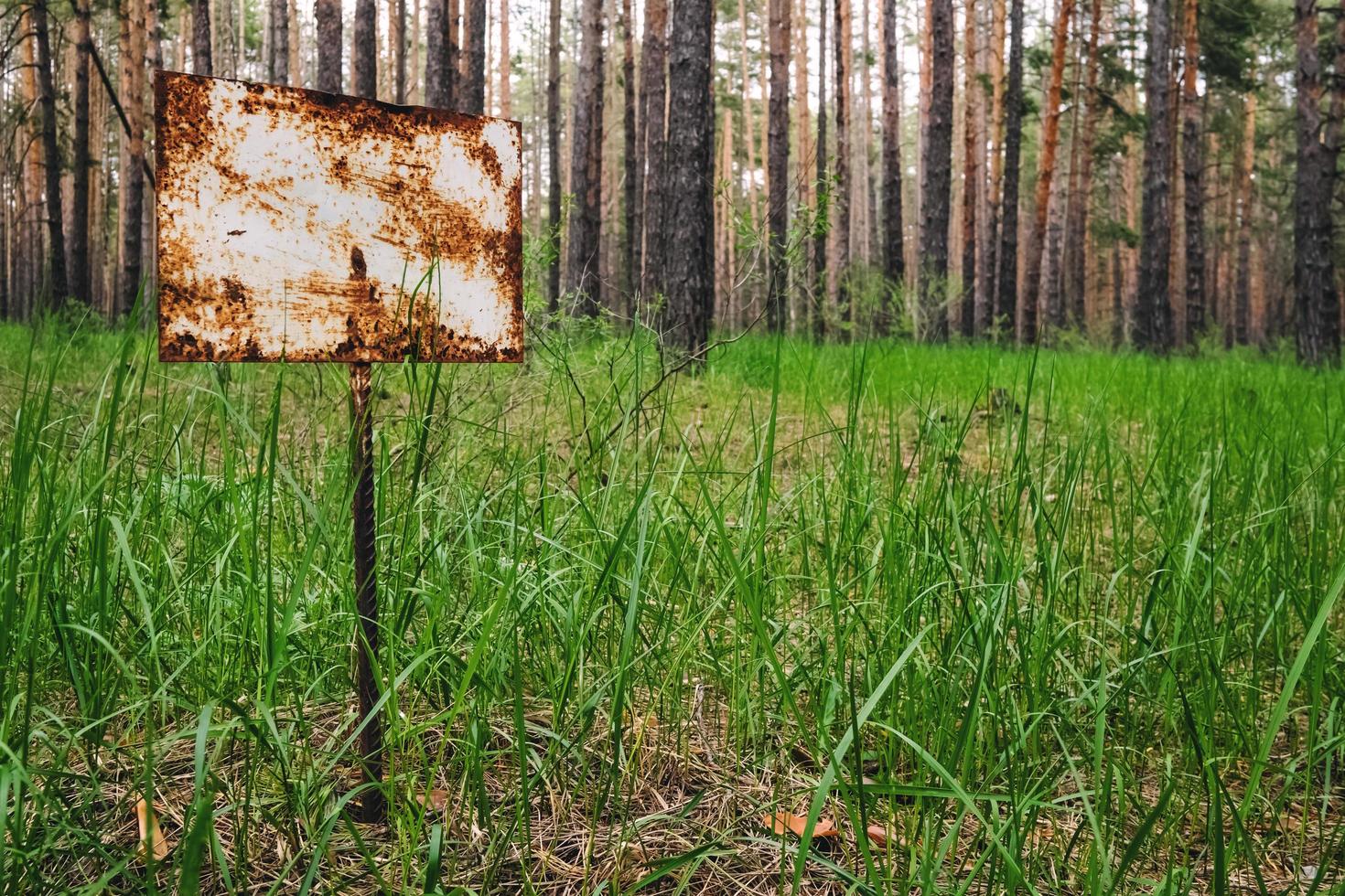 señal de advertencia oxidada en un bosque de pinos de verano. foto