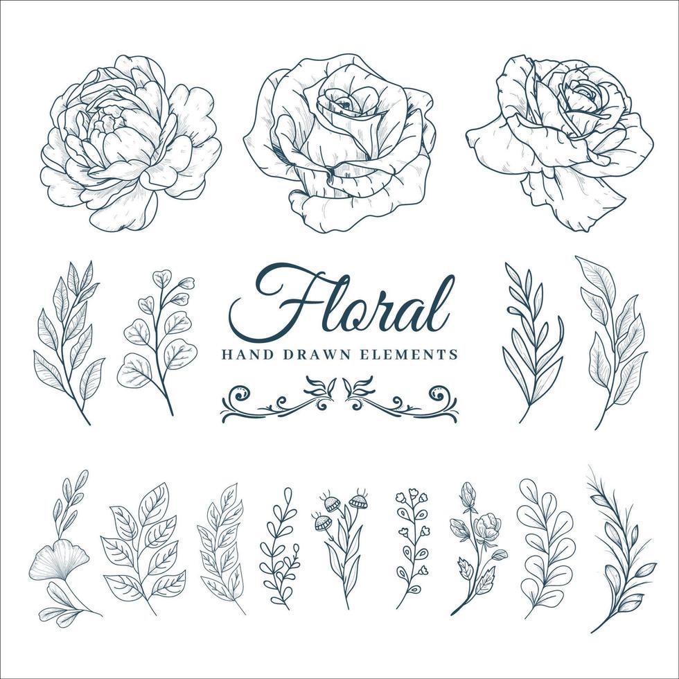colecciones de elementos florales dibujados a mano vector