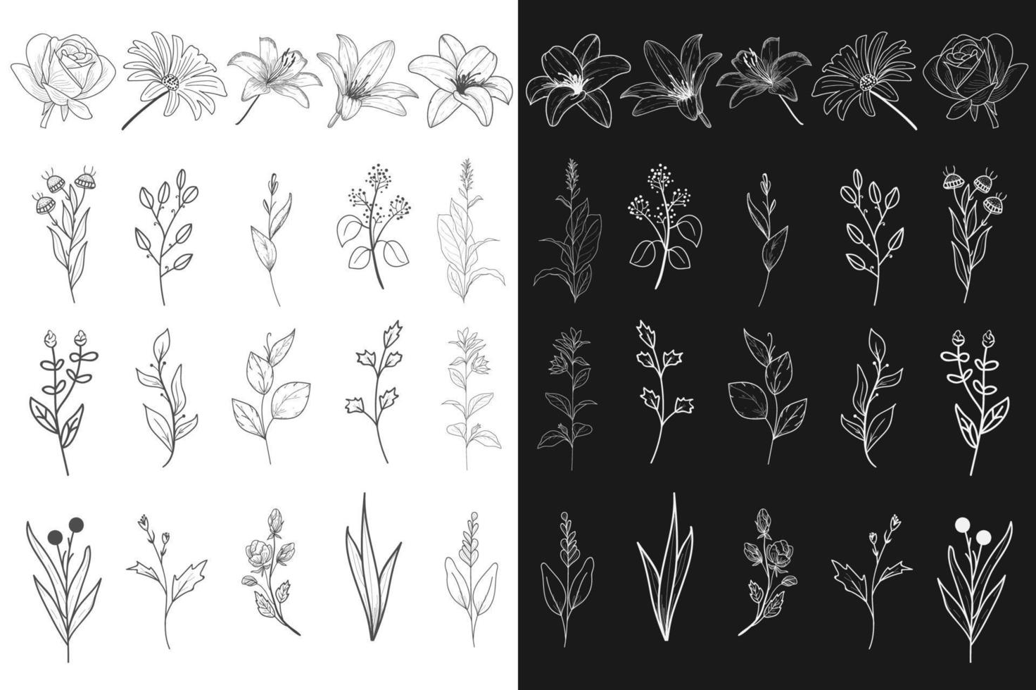 colecciones de elementos florales dibujados a mano vector