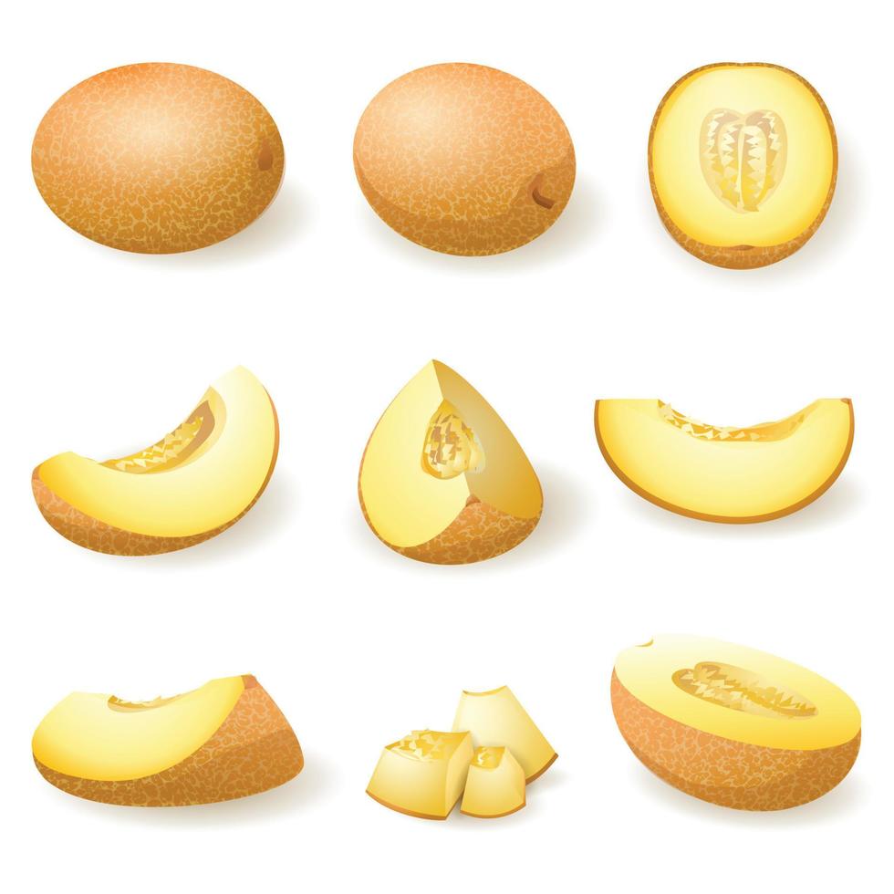 Melon icons set cartoon vector. Snacking cantaloupe vector