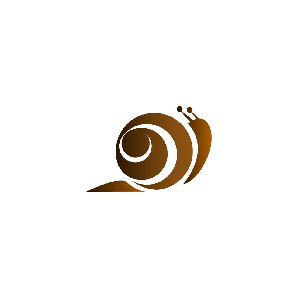 Snail logo vector. vector