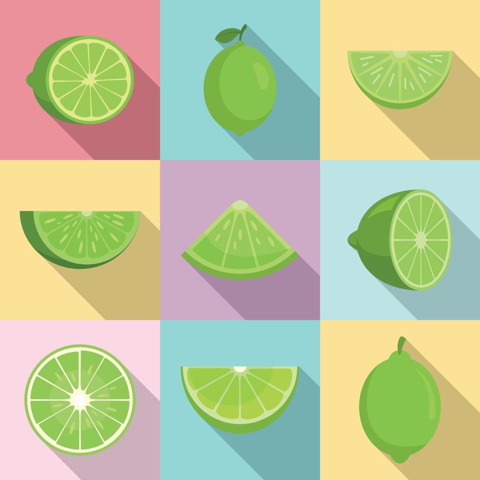 Lime icons set, flat style vector