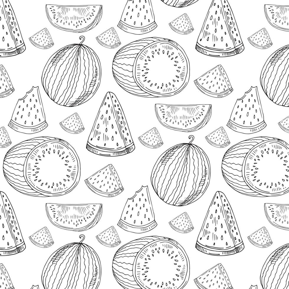 Seamless pattern with watermelon isolated on white background. Black and white fruits. vector